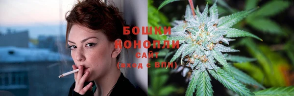 стафф Коряжма