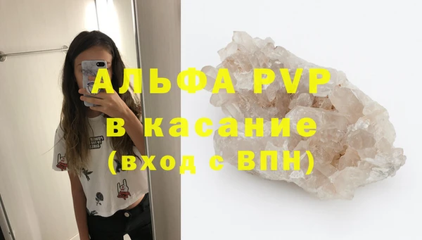 стафф Коряжма