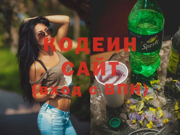 сатива Корсаков