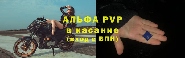 сатива Корсаков