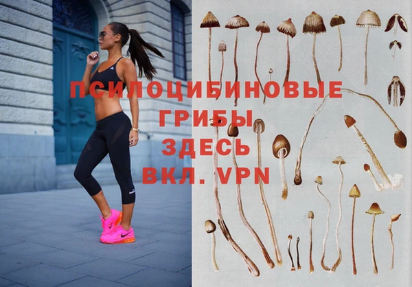 стафф Коряжма