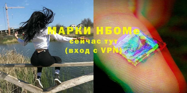 сатива Корсаков