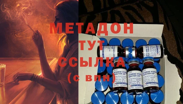 сатива Корсаков