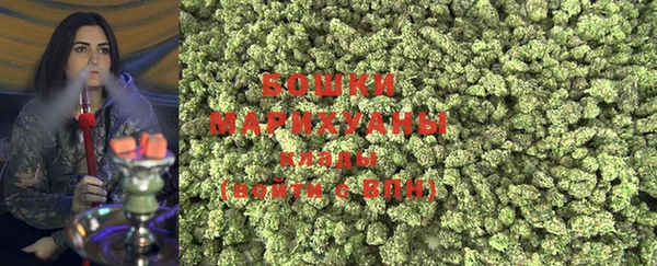 стафф Коряжма