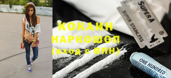 сатива Корсаков