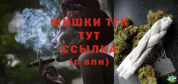 стафф Коряжма