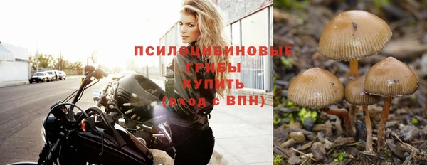 стафф Коряжма